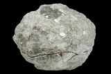 Keokuk Red Rind Geode with Iridescent Chalcopyrite - Iowa #165757-1